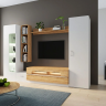 Loft - 20 стенка ТВА Белый / Дуб Вотан