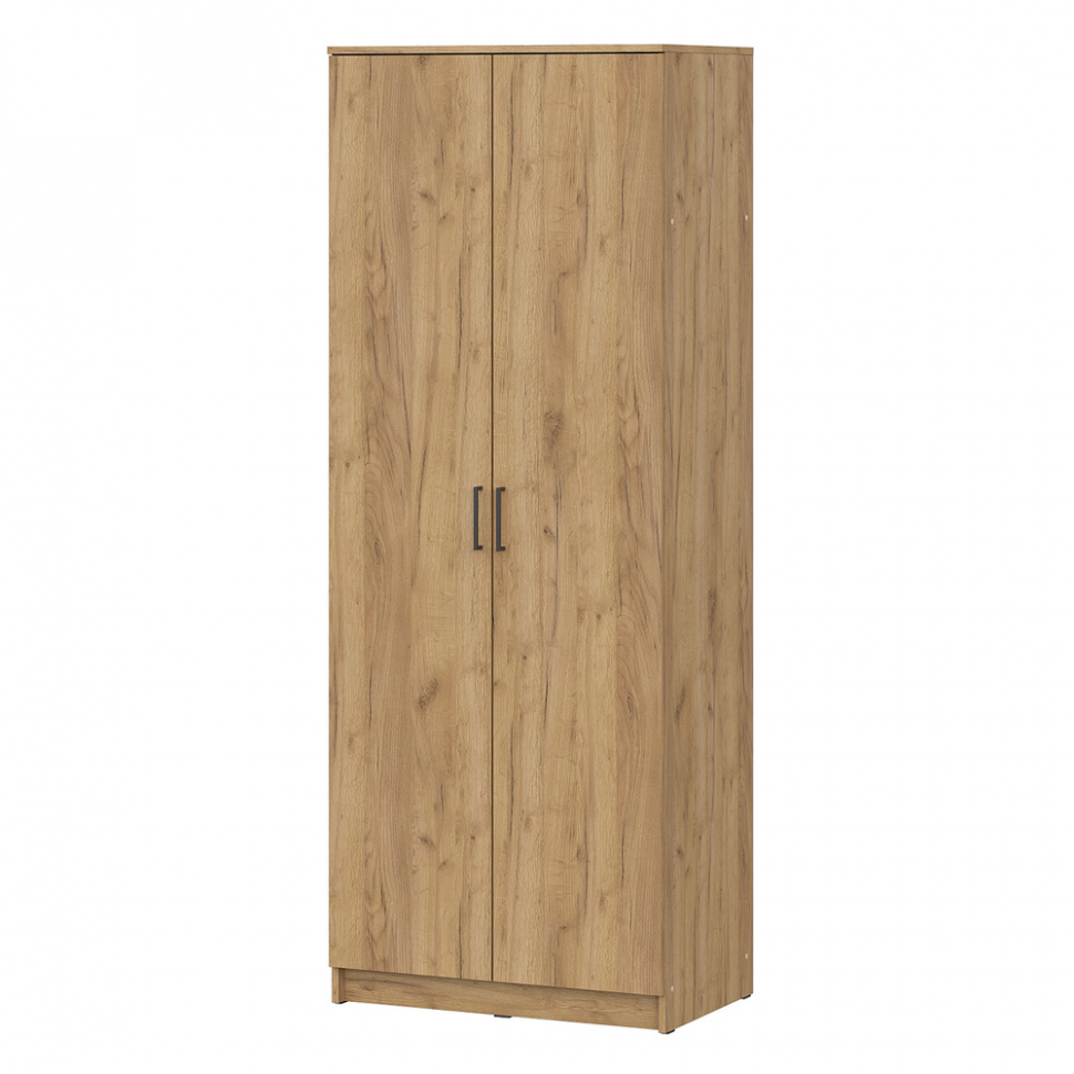 Шкаф распашной ШК 2, Дуб золотой