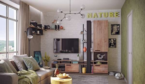Mebel Dlya Gostinoj Nature Glazov Mebel Variant 1