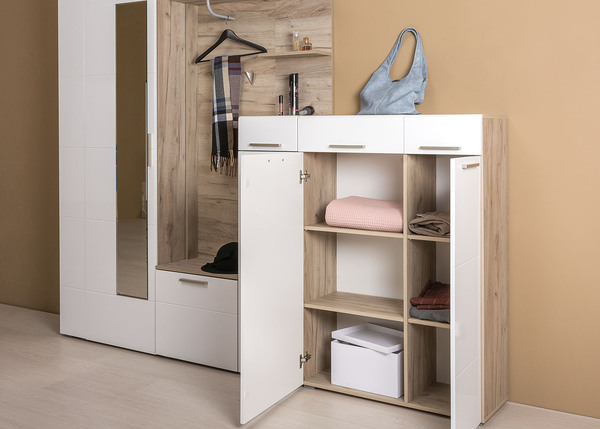 Лайн Шкаф 10.16 Дуб серый/Белый глянец