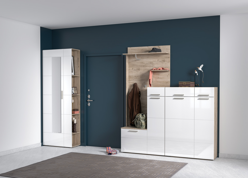 Лайн Шкаф 10.16 Дуб серый/Белый глянец