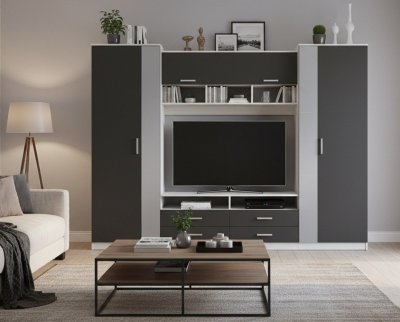 91.01 Вена шкаф многоцелевой Белый / Диамант серый