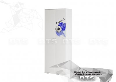 Шкаф для одежды ШК-09 Трио (Король спорта) БТС