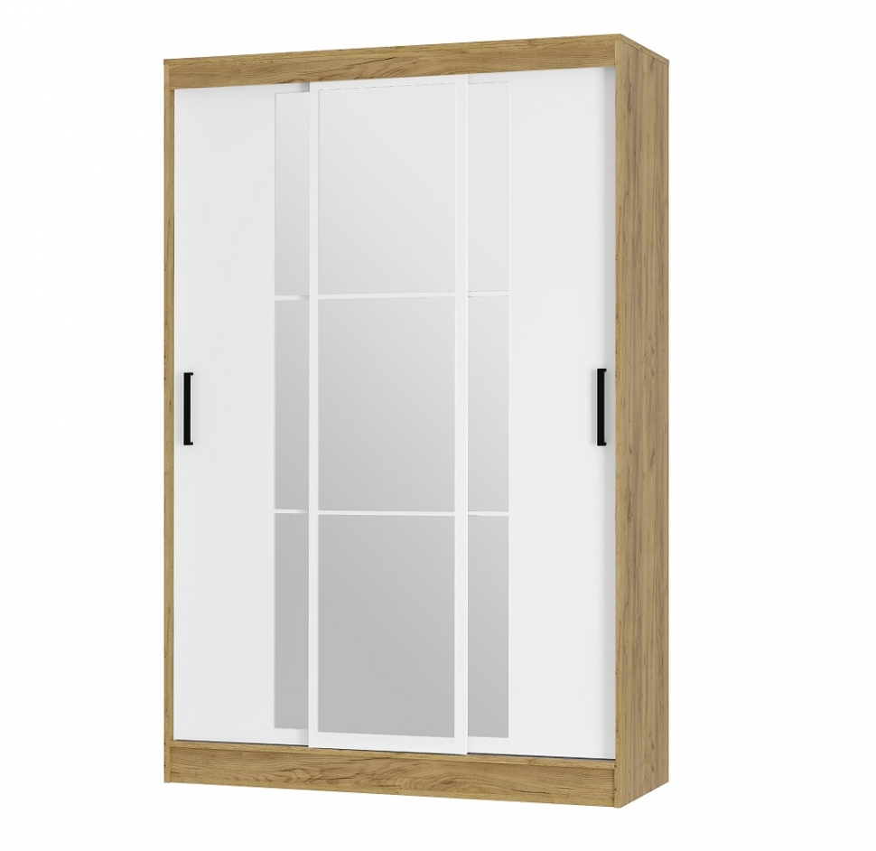 Шкаф-купе Тайм ШКК-03 (Арника)