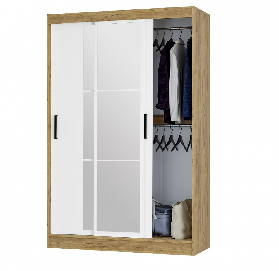 Шкаф-купе Тайм ШКК-03 (Арника)