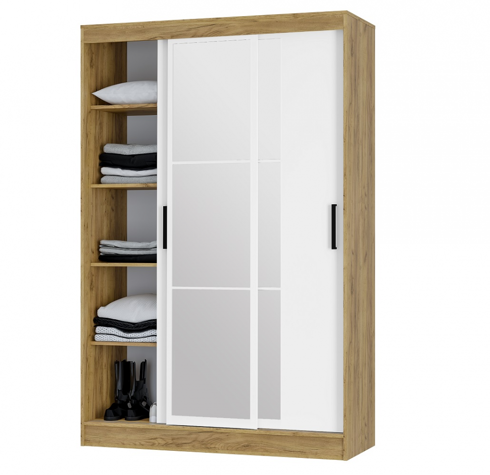 Шкаф-купе Тайм ШКК-03 (Арника)