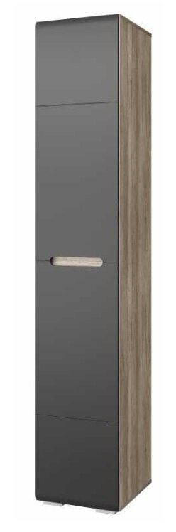 Шкаф-пенал Наоми ПН-14 (БТС) Графит