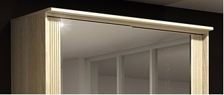 Светильник 22/250 к шкафу-купе Д13 Заречье Диана 