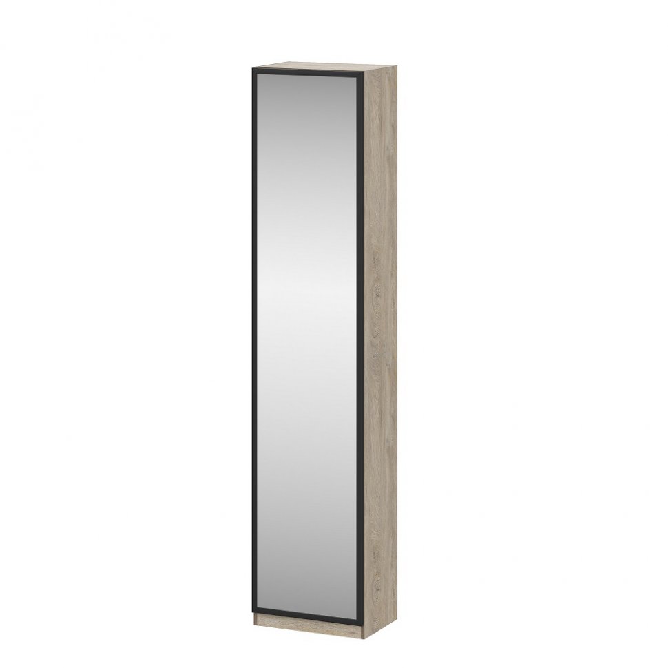 Дверь зеркальная для шкафа Этна СЗ 2236х496