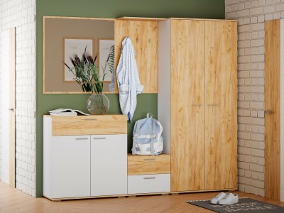 Прихожая Санти-1 Белый/Дуб крафт золотой