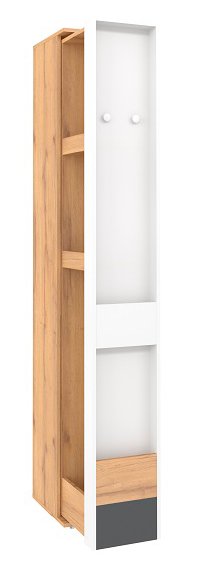 Шкаф МЦН Лойс 85 (Глазов)