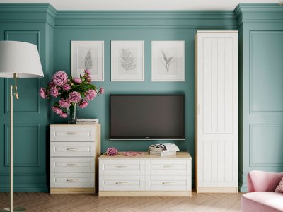 Гостиная Оливия 5 Дуб Сонома/белое дерево